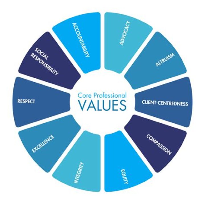 What are some professional values