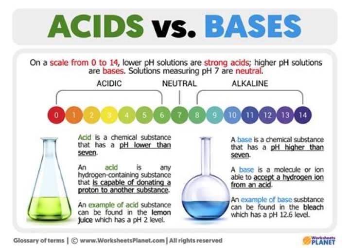 What are the differences between acids and bases