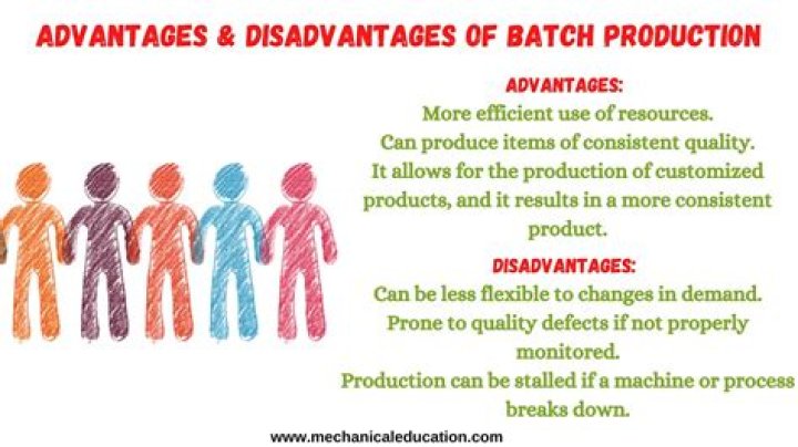 What are the disadvantages of batch processing system