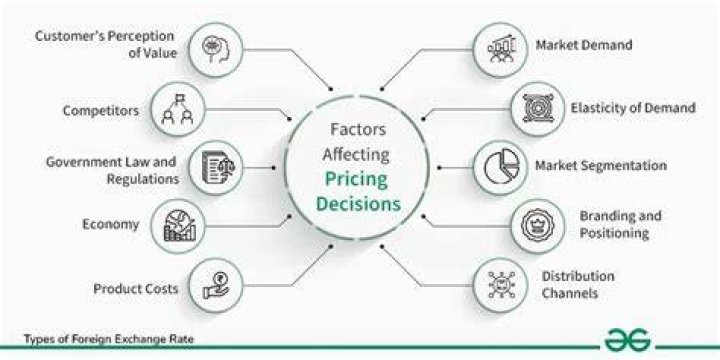 What are the factors affecting pricing decisions