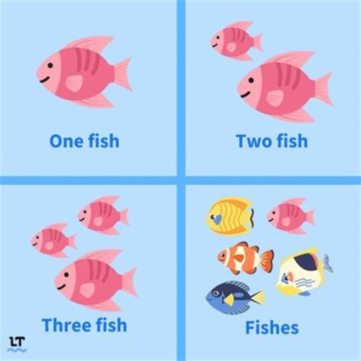 What are the four fish practices