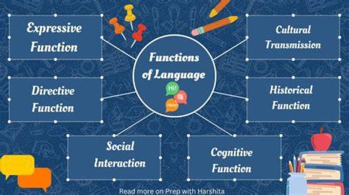 What are the language function