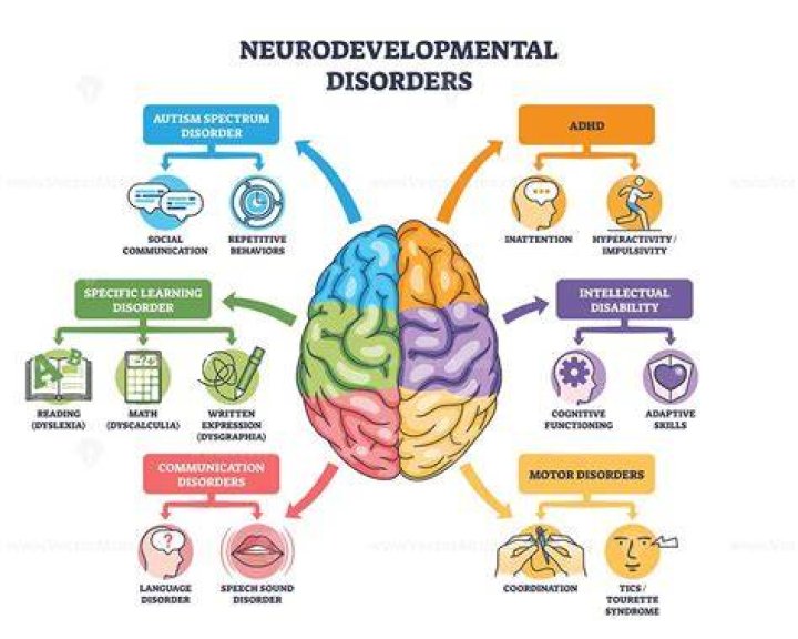 What are the neurodevelopmental disorders