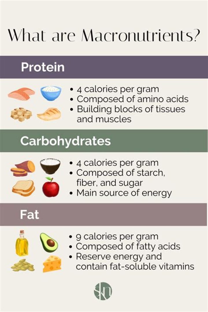 What are the nine macronutrients