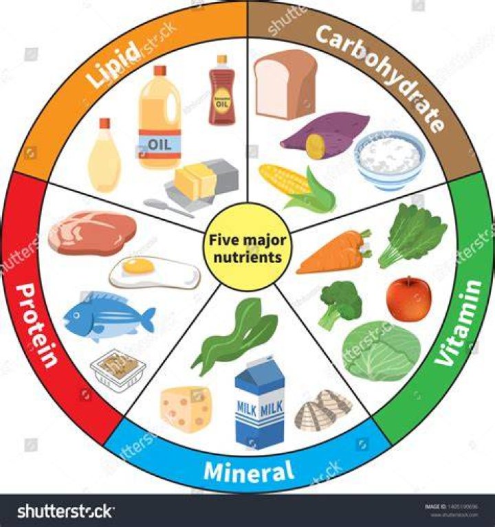 What are the nutrients and their functions