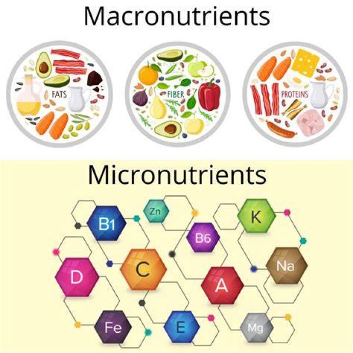 What are the seven macronutrients