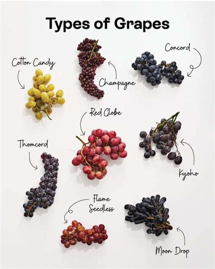 What are the tiny grapes called