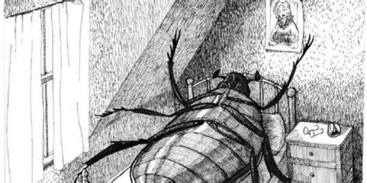 What bug is Gregor in Metamorphosis