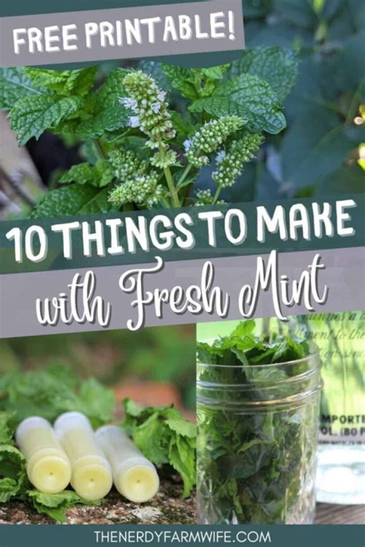 What can I make with fresh mint