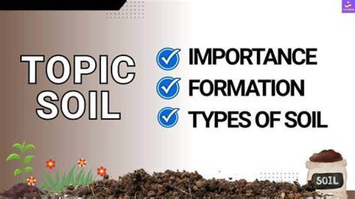 What can soil be used for