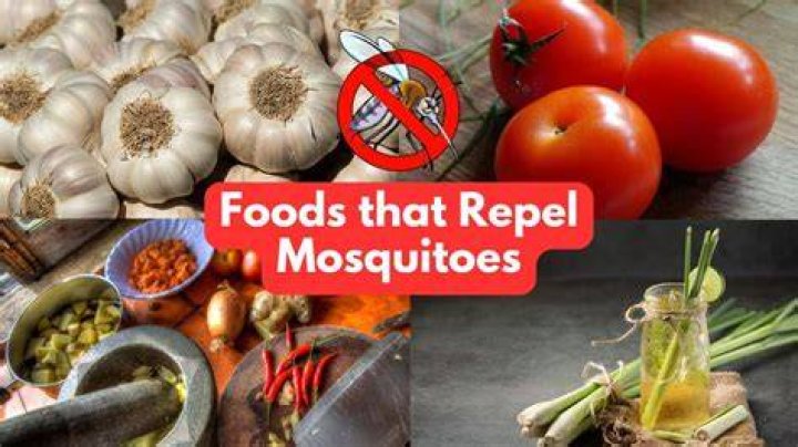 What can you eat or drink to repel mosquitoes