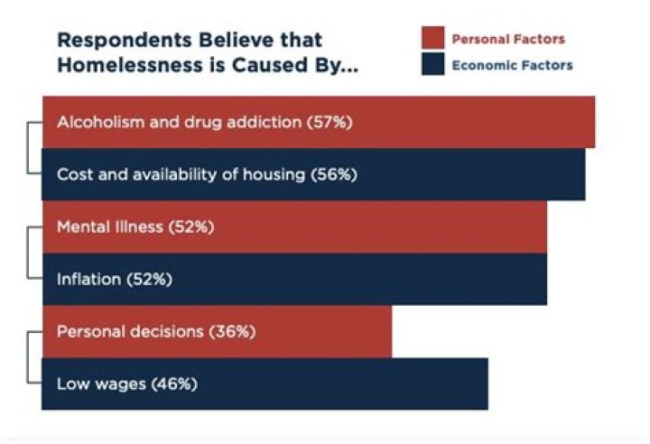 What causes homelessness statistics