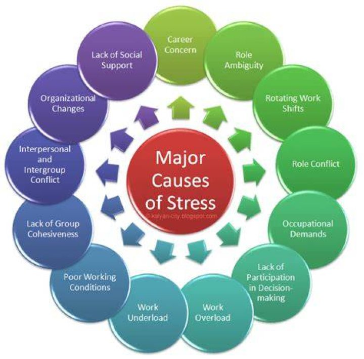 What causes occupational stress
