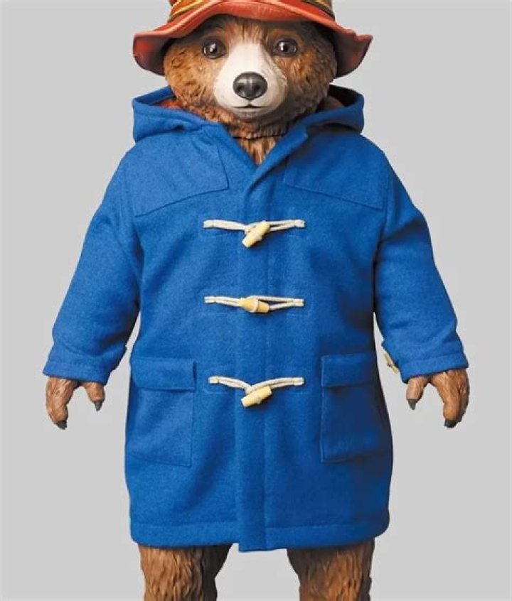 What color is Paddingtons coat
