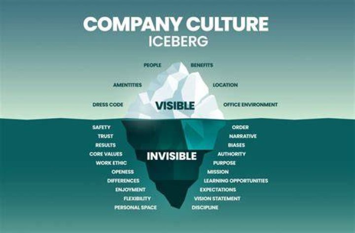 What defines visual culture