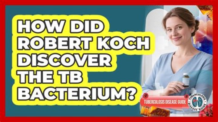What did Koch discover