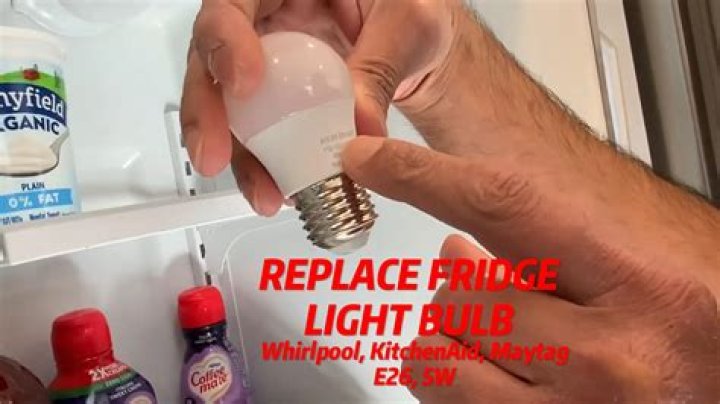 What do refrigerator light bulbs look like