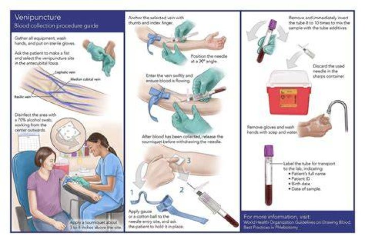 What do you learn in phlebotomy classes