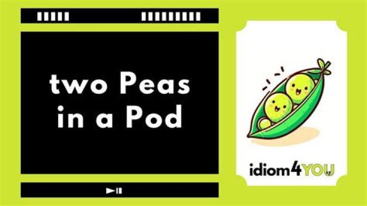 What does 2 peas in a pod mean