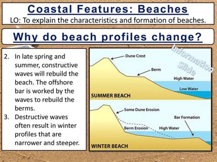 What does a beach profile show