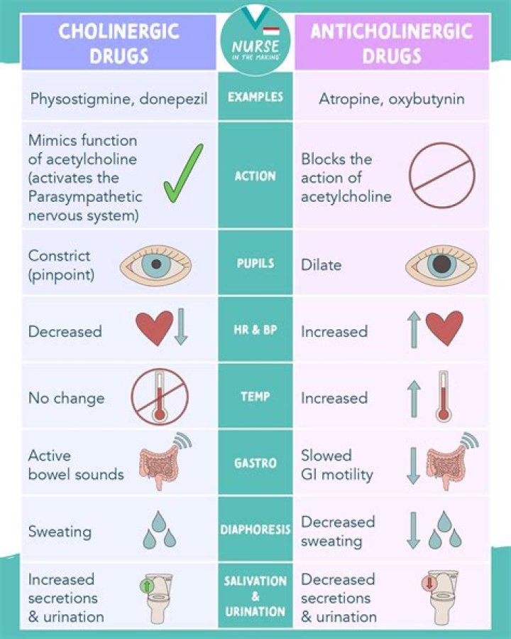 What does a cholinergic agonist do