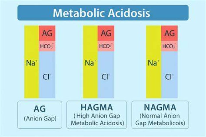 What does a high anion gap indicate