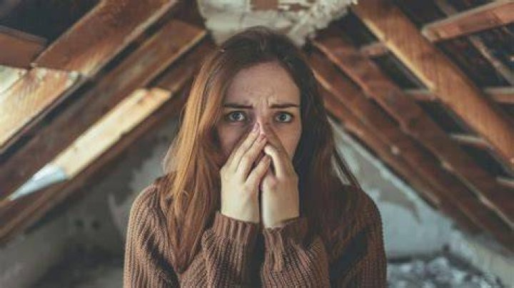 What does a musty smell indicate