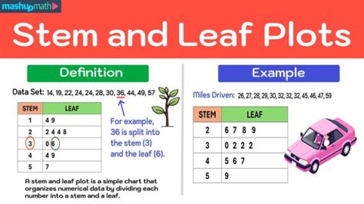 What does a nest leaf mean