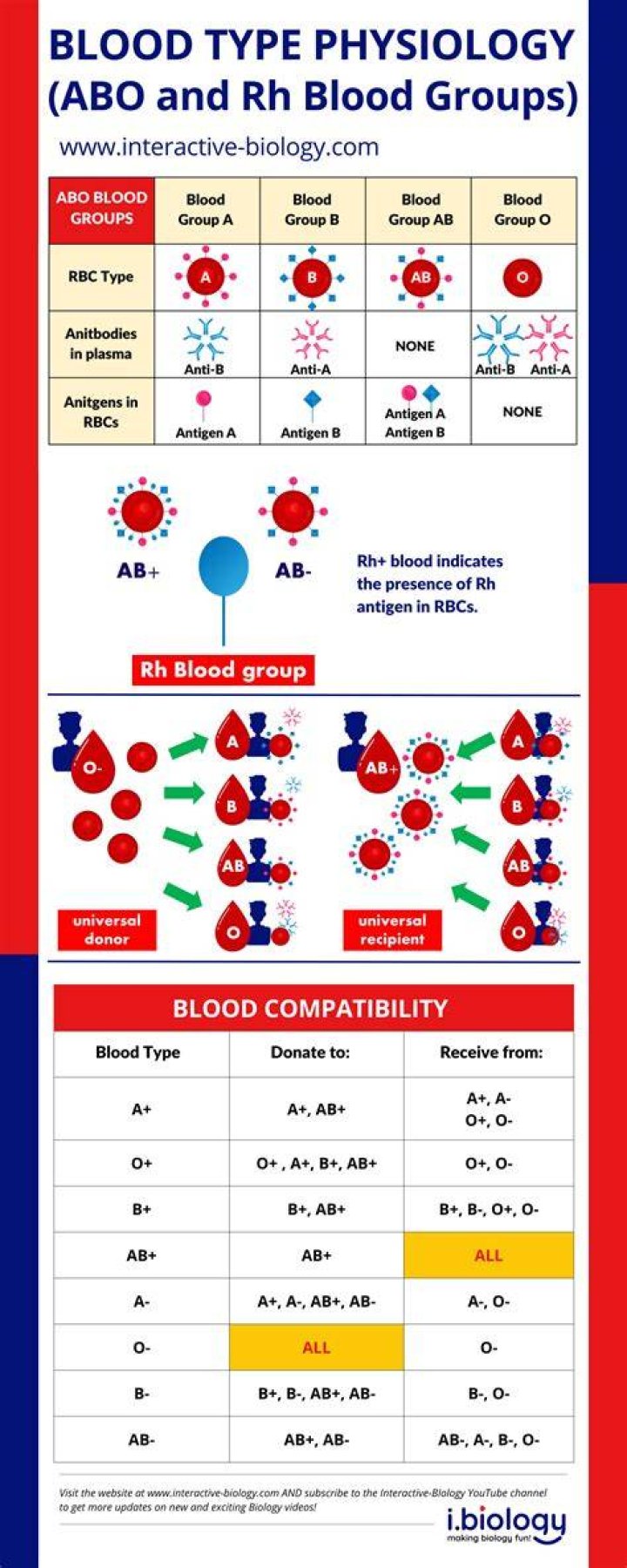 What does Abo mean in blood