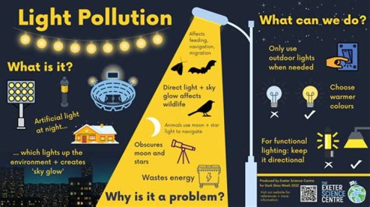 What does artificial light mean