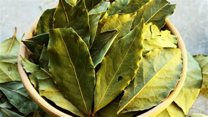 What does bay leaf smell like