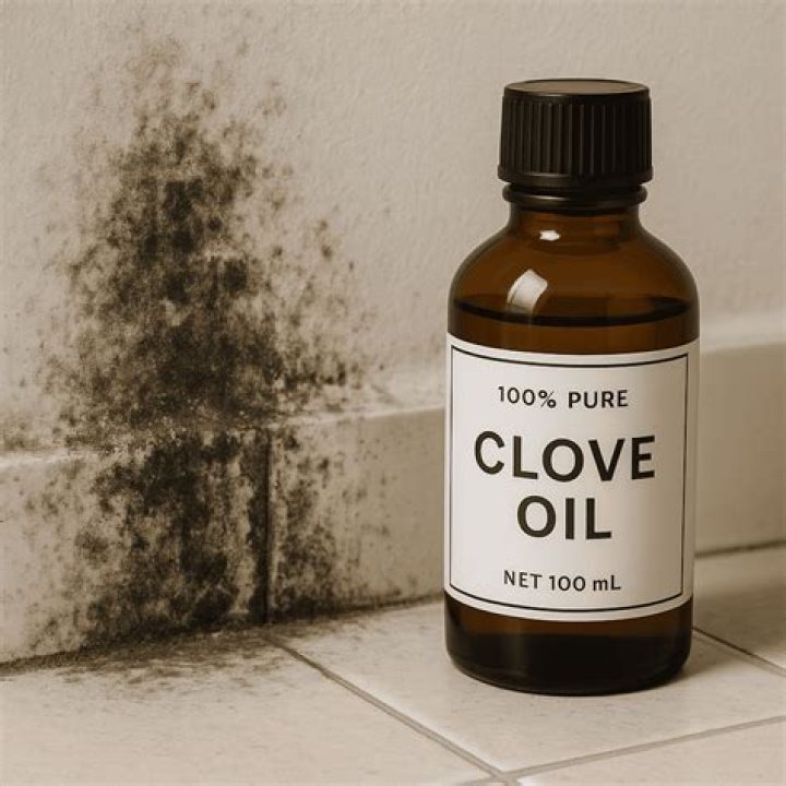 What does clove oil kill