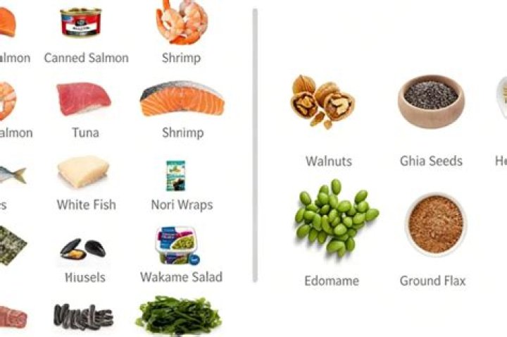 What does DHA do for the body