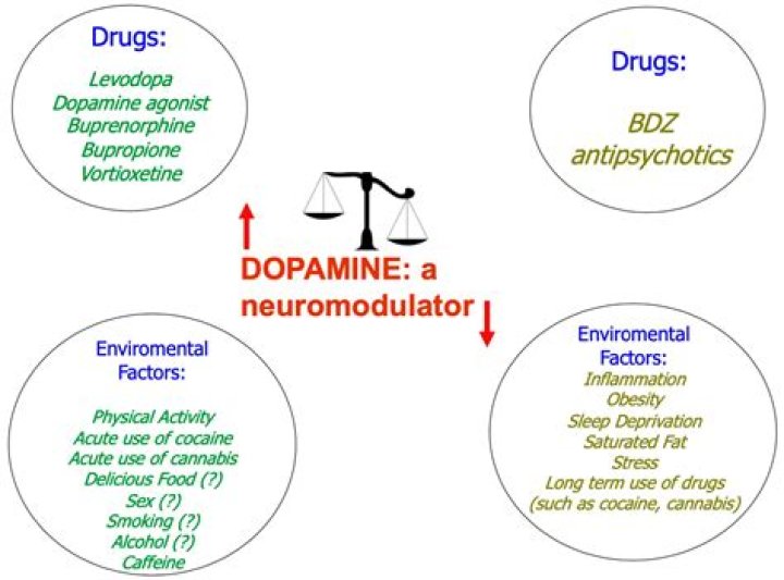 What does dopamine agonist mean