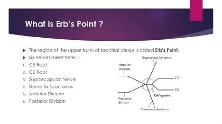 What does ERB CTP stand for
