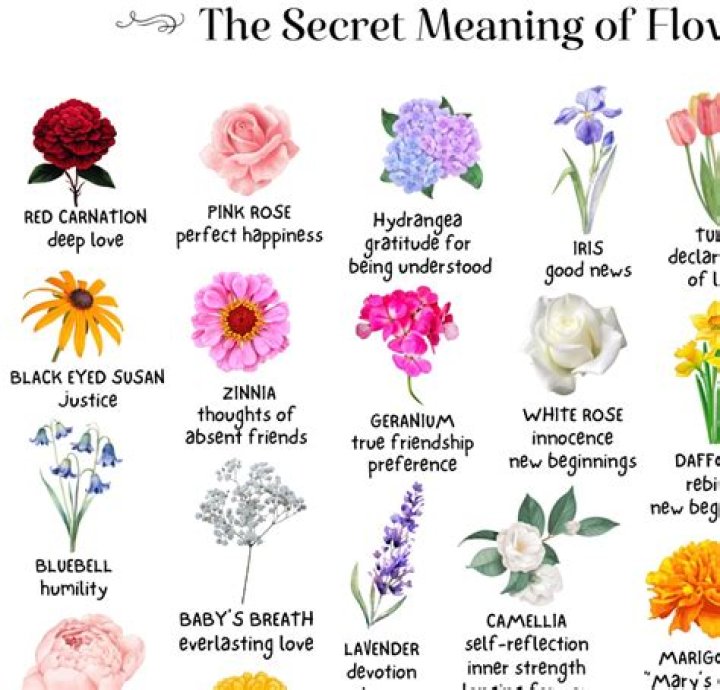 What does flowers taste like