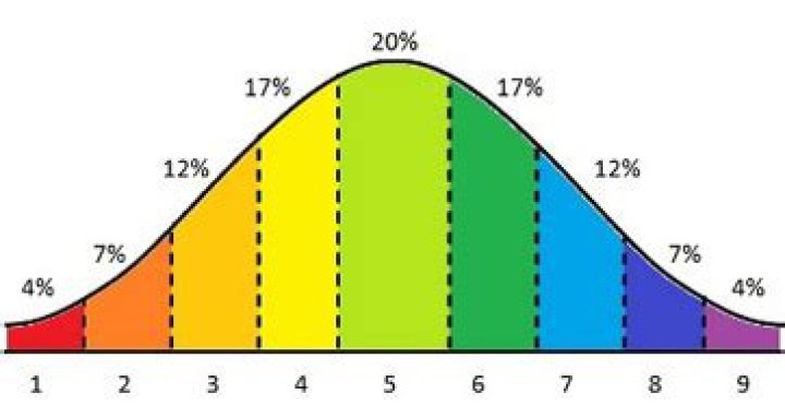 What does grade Stanine mean
