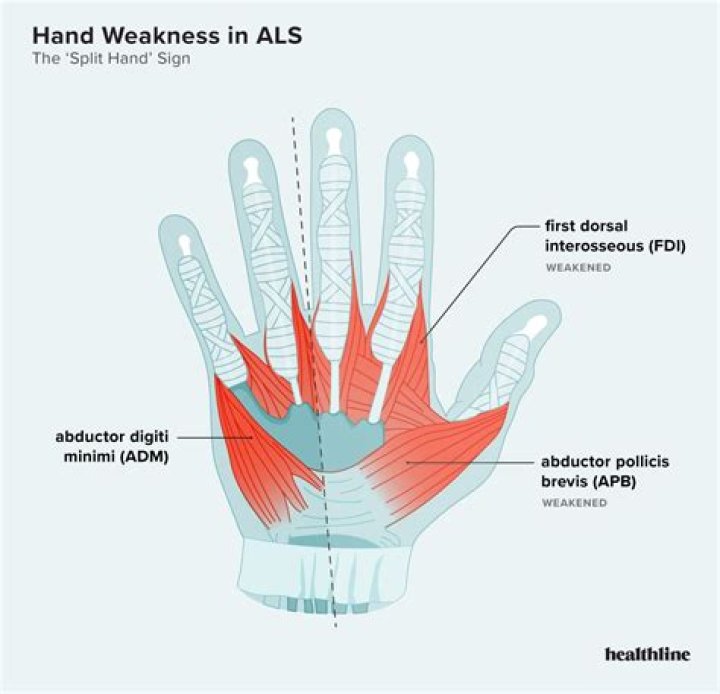 What does have to hand mean