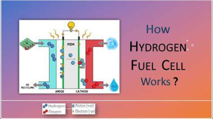 What does hydrogen react with in a hydrogen fuel cell