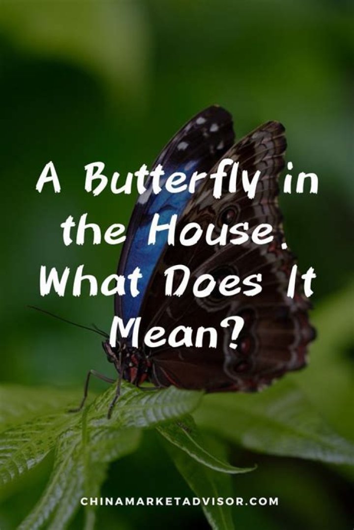 What does Madame Butterfly mean