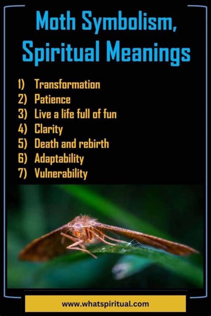 What does moth mean spiritually