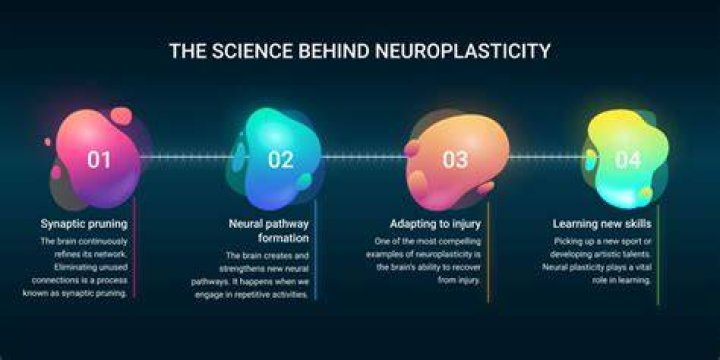 What does plasticity mean in science