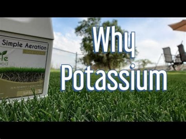 What does potassium do for grass