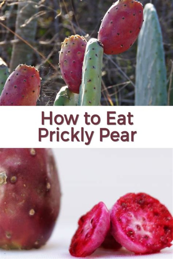 What does prickly pear fruit look like
