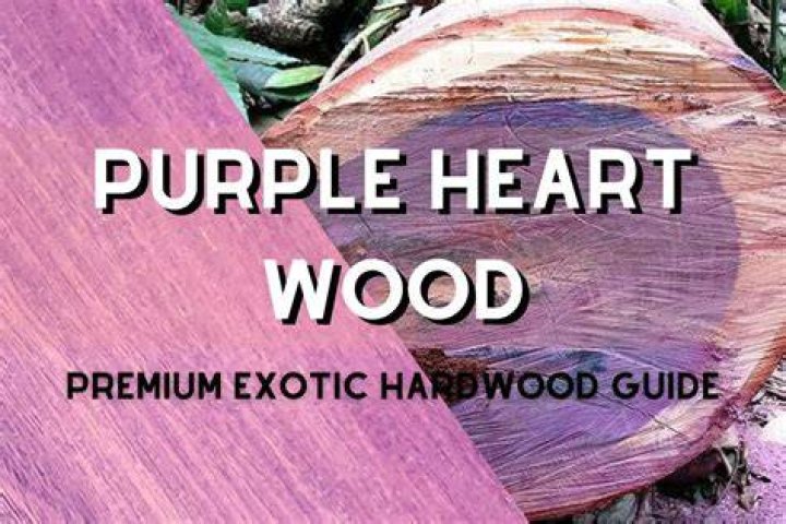 What does Purple Heart do with donations