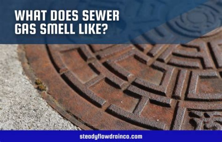 What does septic gas smell like