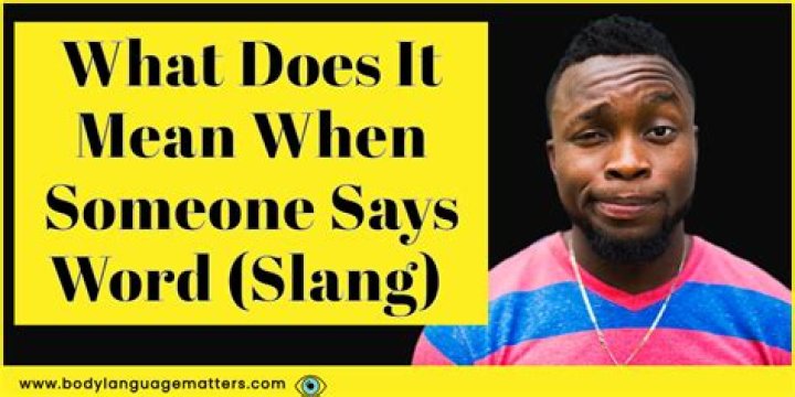 What does soused mean in slang