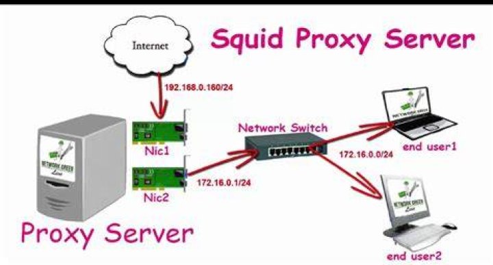What does Squid proxy do