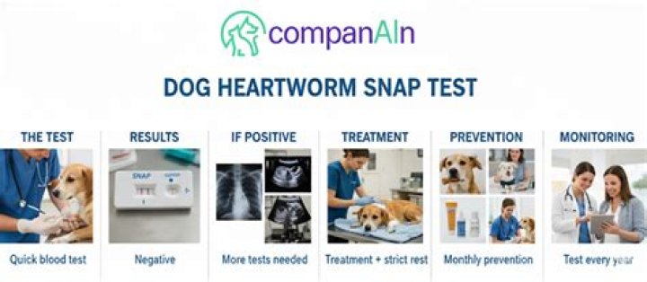 What does the heartworm SNAP test test for