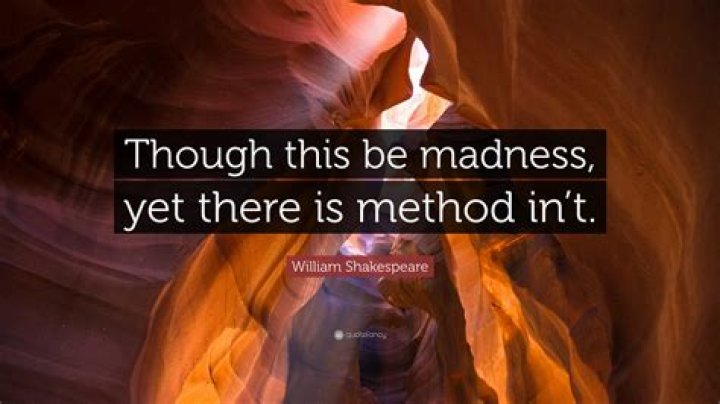 What does Though this be madness yet there method in it